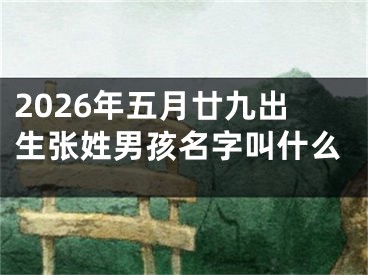 2026年五月廿九出生张姓男孩名字叫什么
