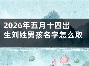 2026年五月十四出生刘姓男孩名字怎么取