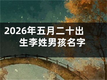 2026年五月二十出生李姓男孩名字