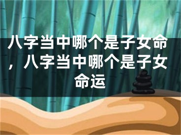 八字当中哪个是子女命，八字当中哪个是子女命运