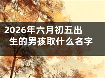 2026年六月初五出生的男孩取什么名字