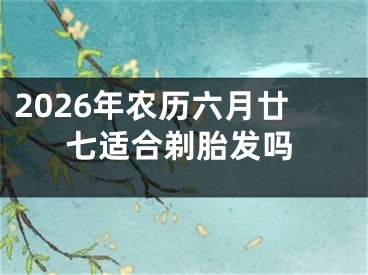 2026年农历六月廿七适合剃胎发吗
