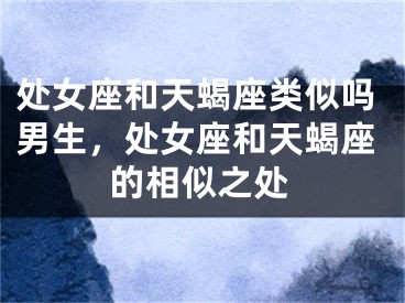 处女座和天蝎座类似吗男生，处女座和天蝎座的相似之处