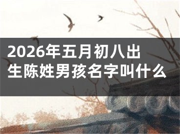 2026年五月初八出生陈姓男孩名字叫什么