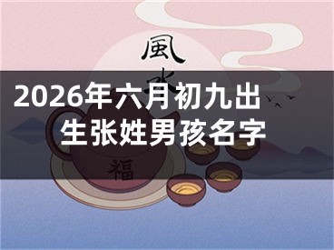 2026年六月初九出生张姓男孩名字