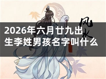2026年六月廿九出生李姓男孩名字叫什么
