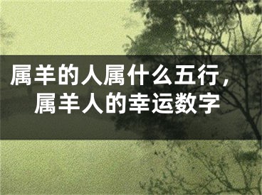 属羊的人属什么五行,属羊人的幸运数字