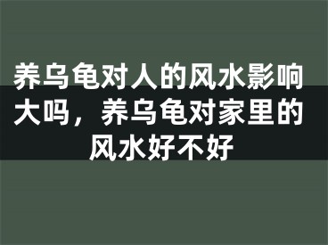 养乌龟对人的风水影响大吗,养乌龟对家里的风水好不好
