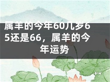 属羊的今年60几岁65还是66，属羊的今年运势