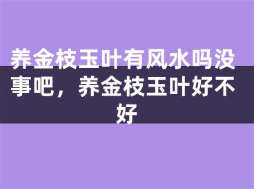 养金枝玉叶有风水吗没事吧，养金枝玉叶好不好