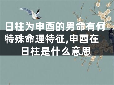 日柱为申酉的男命有何特殊命理特征,申酉在日柱是什么意思