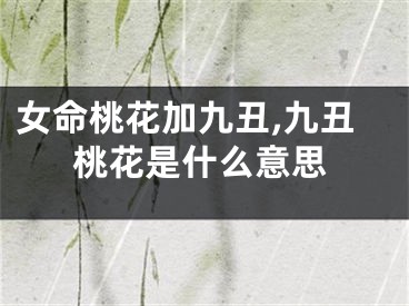 女命桃花加九丑,九丑桃花是什么意思