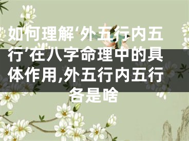 如何理解‘外五行内五行’在八字命理中的具体作用,外五行内五行各是啥