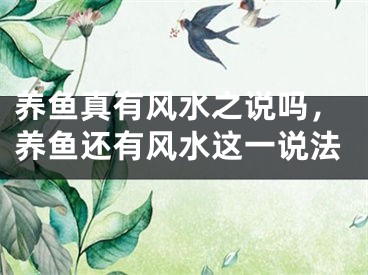 养鱼真有风水之说吗，养鱼还有风水这一说法