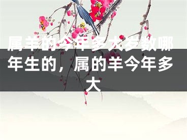 属羊的今年多大岁数哪年生的，属的羊今年多大
