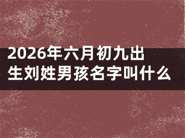 2026年六月初九出生刘姓男孩名字叫什么