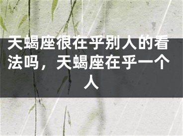 天蝎座很在乎别人的看法吗，天蝎座在乎一个人