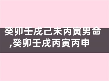 癸卯壬戌己未丙寅男命,癸卯壬戌丙寅丙申