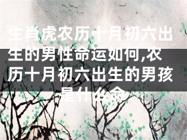 生肖虎农历十月初六出生的男性命运如何,农历十月初六出生的男孩是什么命
