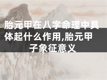 胎元甲在八字命理中具体起什么作用,胎元甲子象征意义