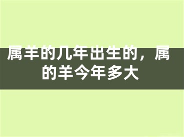 属羊的几年出生的，属的羊今年多大