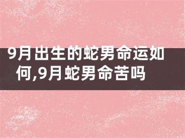9月出生的蛇男命运如何,9月蛇男命苦吗