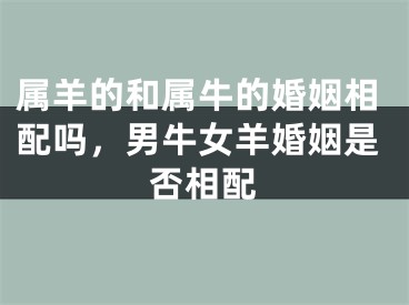 属羊的和属牛的婚姻相配吗，男牛女羊婚姻是否相配