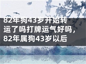 82年狗43岁开始转运了吗打牌运气好吗,82年属狗43岁以后
