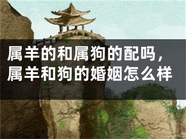 属羊的和属狗的配吗,属羊和狗的婚姻怎么样
