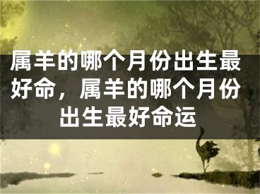 属羊的哪个月份出生最好命，属羊的哪个月份出生最好命运