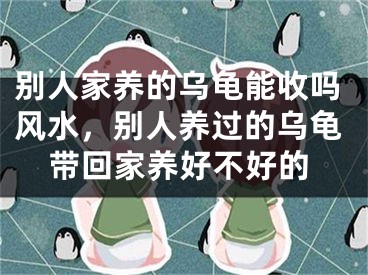 别人家养的乌龟能收吗风水，别人养过的乌龟带回家养好不好的
