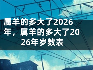 属羊的多大了2026年,属羊的多大了2026年岁数表