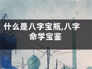 什么是八字宝瓶,八字命学宝鉴