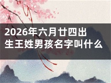 2026年六月廿四出生王姓男孩名字叫什么