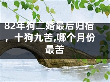82年狗二婚最后归宿，十狗九苦,哪个月份最苦