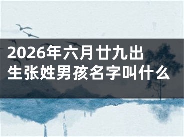 2026年六月廿九出生张姓男孩名字叫什么