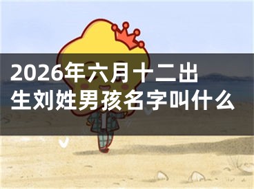 2026年六月十二出生刘姓男孩名字叫什么