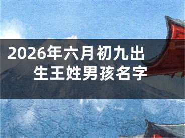 2026年六月初九出生王姓男孩名字