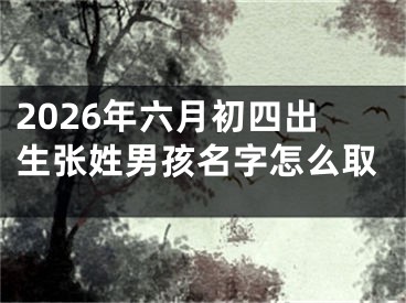 2026年六月初四出生张姓男孩名字怎么取