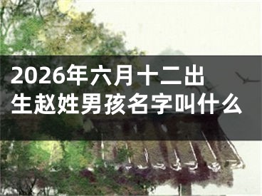 2026年六月十二出生赵姓男孩名字叫什么