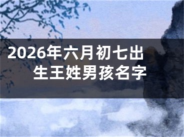 2026年六月初七出生王姓男孩名字