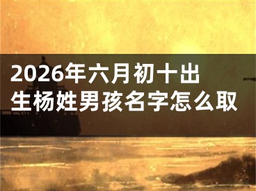 2026年六月初十出生杨姓男孩名字怎么取
