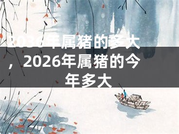 2036年属猪的多大，2026年属猪的今年多大