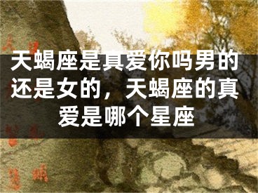 天蝎座是真爱你吗男的还是女的，天蝎座的真爱是哪个星座