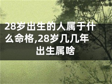 28岁出生的人属于什么命格,28岁几几年出生属啥