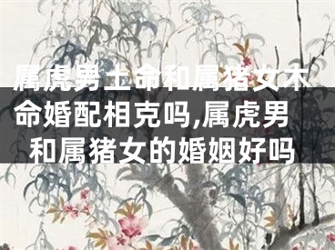属虎男土命和属猪女木命婚配相克吗,属虎男和属猪女的婚姻好吗