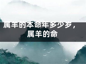 属羊的本命年多少岁,属羊的命