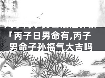 八字丙子男命婚姻详解「丙子日男命有,丙子男命子孙福气大吉吗