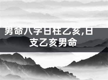 男命八字日柱乙亥,日支乙亥男命