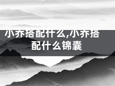小乔搭配什么,小乔搭配什么锦囊